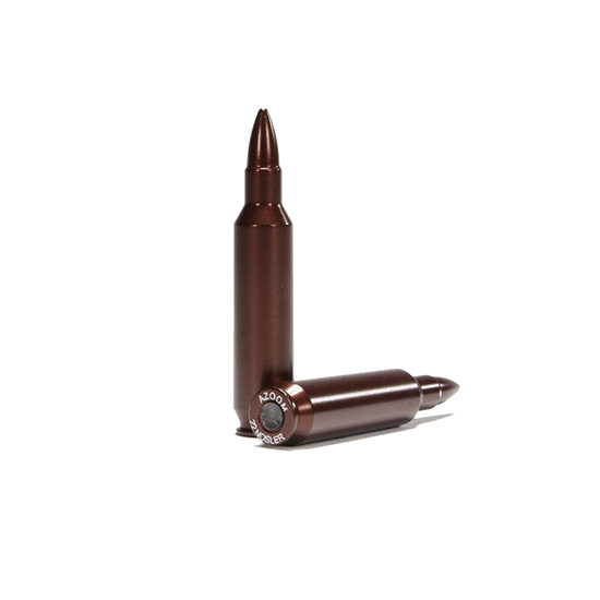 AZOOM 22 NOSLER SNAP CAP 2PK - Hunting Accessories